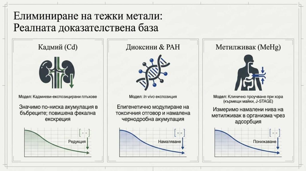 ТЕЖКИ МЕТАЛИ: КОЛКО Е РЕАЛНА ДЕТОКСИКАЦИЯТА
